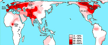 R1b map
