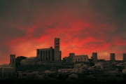 Artaxona roja
